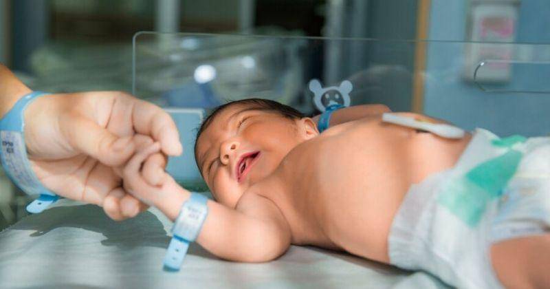 Freepik/KamranAydinov